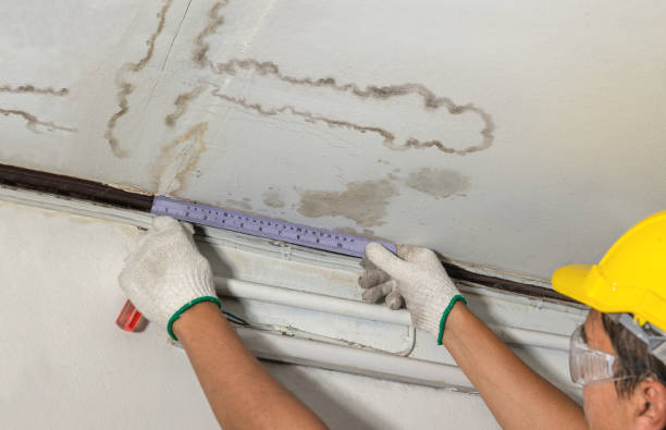 Reliable Mold Remediation contractor in Springfield, SD by Water Damage Irwin